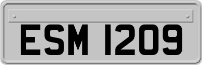 ESM1209