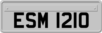 ESM1210