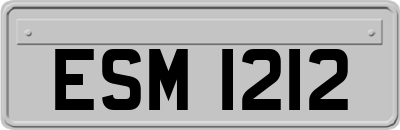 ESM1212