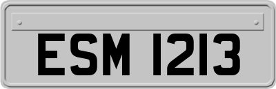 ESM1213