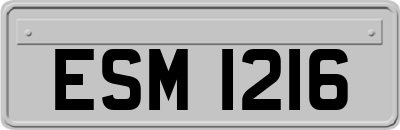ESM1216