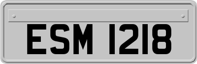 ESM1218