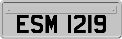ESM1219