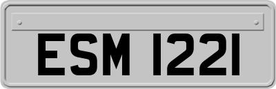 ESM1221