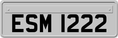 ESM1222