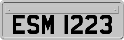 ESM1223