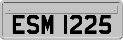 ESM1225
