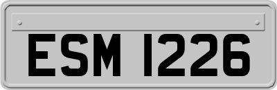 ESM1226