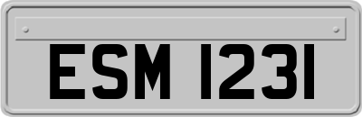 ESM1231