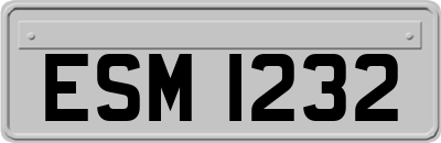 ESM1232