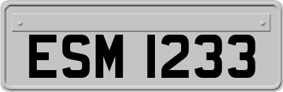 ESM1233