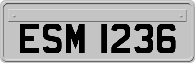 ESM1236