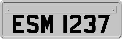 ESM1237