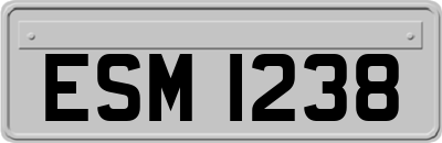 ESM1238