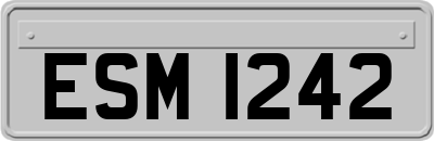 ESM1242