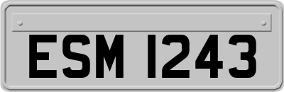 ESM1243
