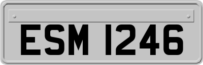 ESM1246