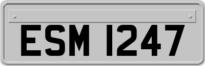 ESM1247