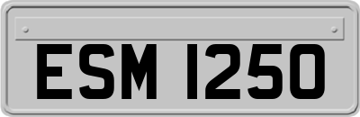 ESM1250