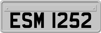 ESM1252