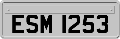 ESM1253