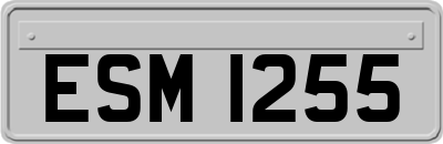 ESM1255