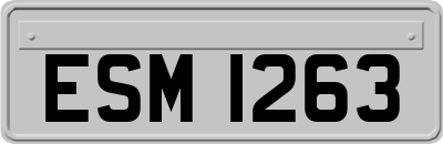 ESM1263