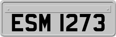 ESM1273