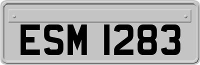 ESM1283