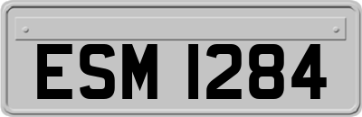 ESM1284