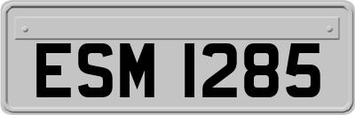 ESM1285