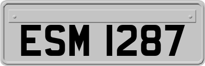 ESM1287