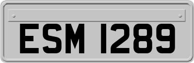 ESM1289