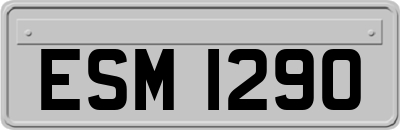 ESM1290