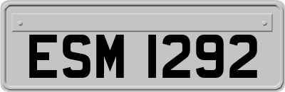 ESM1292