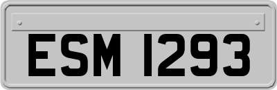 ESM1293