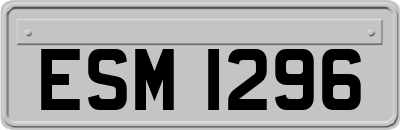 ESM1296