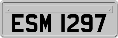 ESM1297