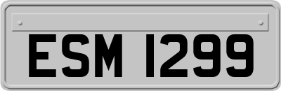 ESM1299