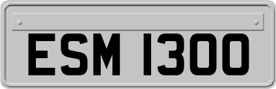 ESM1300