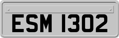 ESM1302