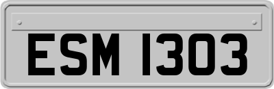 ESM1303