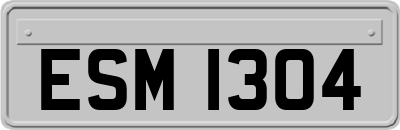 ESM1304