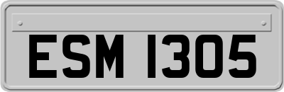 ESM1305