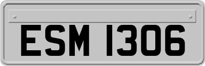 ESM1306