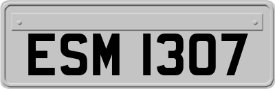 ESM1307