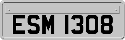 ESM1308