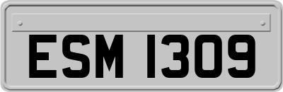 ESM1309