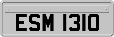 ESM1310