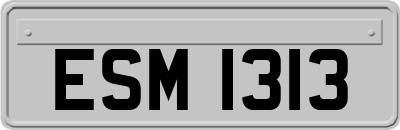 ESM1313